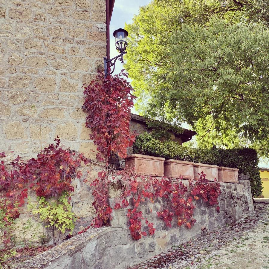 La Locanda Della Chiocciola ออร์เต ภายนอก รูปภาพ