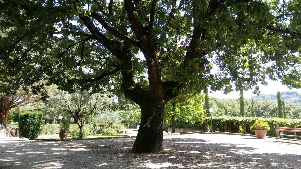 La Locanda Della Chiocciola ออร์เต ภายนอก รูปภาพ